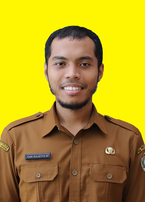 Hari Sulistyo Wicaksono, S.T